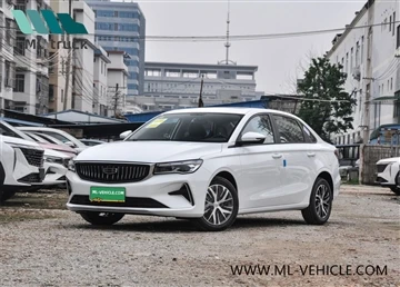 Випущена модель Geely Direct Champion Edition 2023