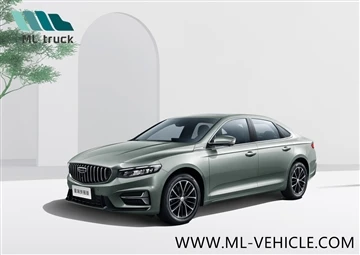 Geely Xingrui Fu Yao Edition розпочинає попередній продаж.