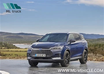BYD випустить п’ять електромобілів у Франції