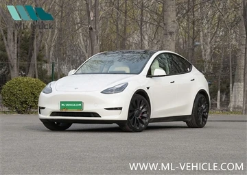 Tesla Model Y стає другою найбільш продаваною моделлю в Північній Америці