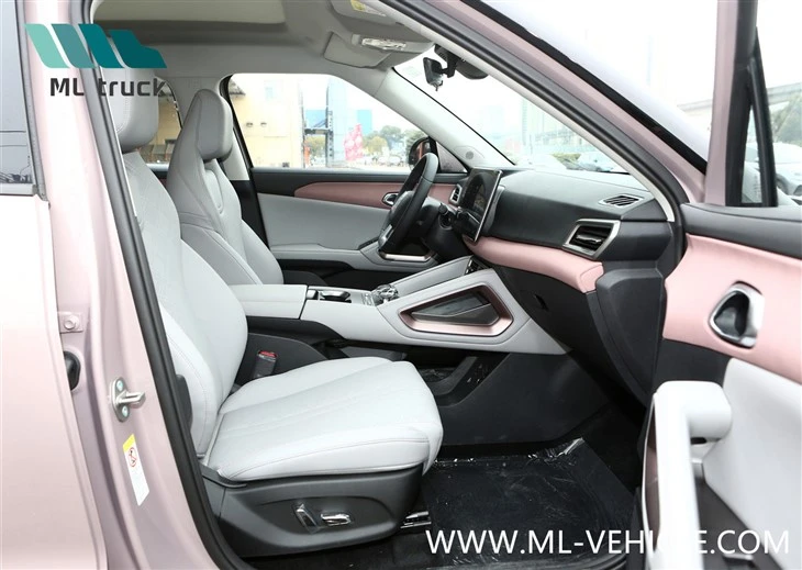 2024 BYD Yuan UP EV SUV
