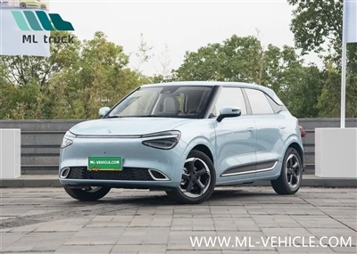 Попередній продаж від 79 800 юанів, дебют DongFeng Nammi 01 відбудеться 7 січня
