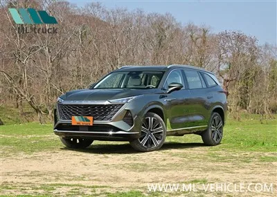 Позашляховик Saic Roewe RX9 2023 року